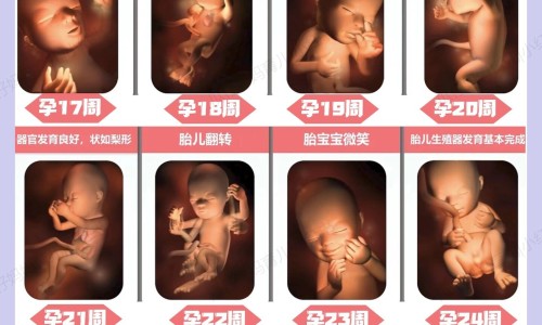 出汗发霉什么原因是什么网 - 出汗发粘是什么原因,出汗多是什么原因